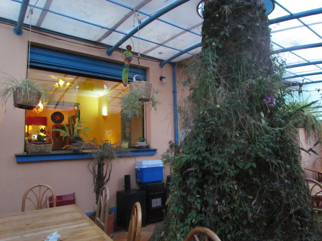 Casa Helbling Otel Quito Dış mekan fotoğraf