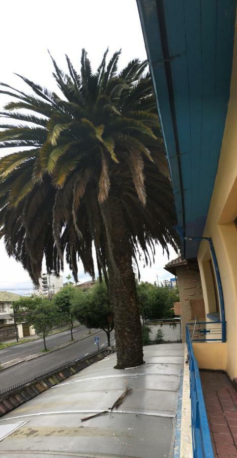 Casa Helbling Otel Quito Dış mekan fotoğraf